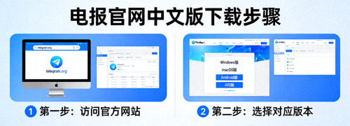 电报官网中文版下载步骤截图：访问官方网站与选择版本